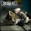 Miss U
