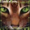Brambleclaw