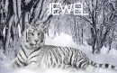 Jewel Whitetiger