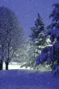 winter