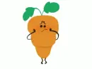 carrot