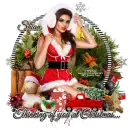 Thinking Of You At Christmas ~ Shian