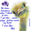 Warm ..Fuzzy Feeling - Mel