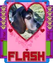 Jessi, Flash Valentine