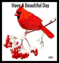 Beautiful Day