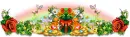St' Patrick's Day divider