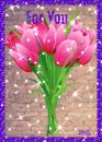 Pink Tulips