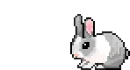 bunny hopping