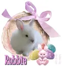 Robbie
