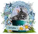 Spring Time