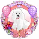 Elia Birthday