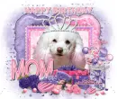 Happy Birthday MOM