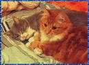 cats