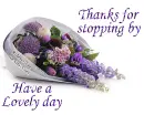 Thanks for stopping by