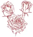 roses