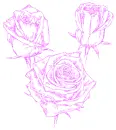 roses
