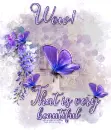 Wow That Is Very Beautiful