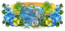 Dolphins Heart - Divider
