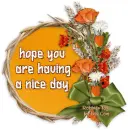 hope you are having a nice day!