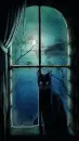 black cat