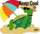 Keep Cool Turtle