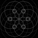 black and white optical picture