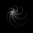 black and white optical picture