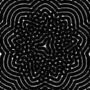 black and white optical picture