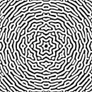 black and white optical picture