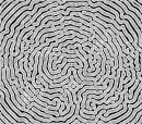 black and white optical picture