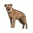 hyena