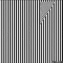 black and white optical picture