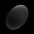 black and white optical picture