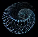blue optical picture