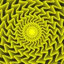 yellow optical picture