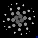 optical picture