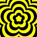 yellow optical picture