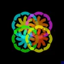optical picture