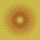optical picture