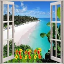 Tropical Summer/Beach Background