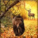 Autumn Animals 