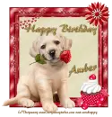 Happy Birthday - Amber