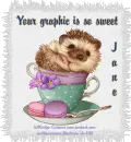 Hedgehog in a cup - Jane