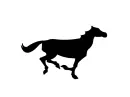 black horse