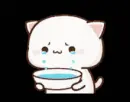 white cat cry