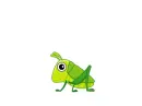 grasshopper
