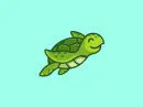 turtle