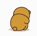 bear cry