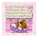 Just stopping by - Jane