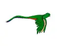 quetzal